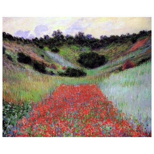        (Poppy Field of Flowers in a Valley)   37. x 30. 1190
