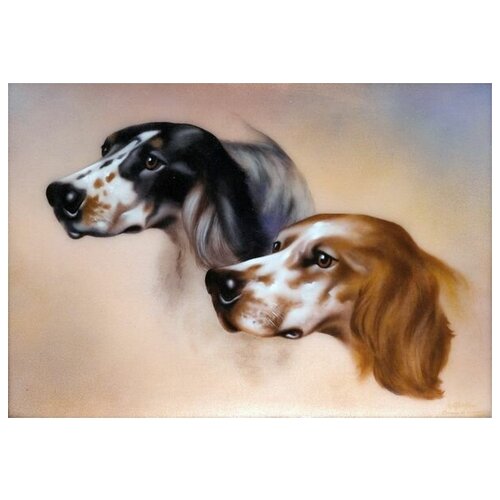      (Two dogs) 5 72. x 50. 2590