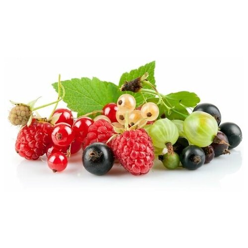    (Berries) 7 67. x 40. 2130