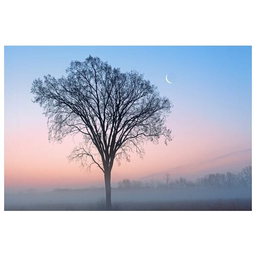       (Tree in the fog) 45. x 30. 1340