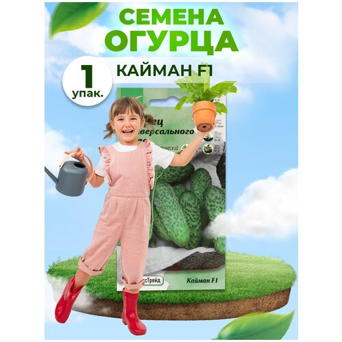 Набор семян Огурец Кайман F1 0.25 г АСТ - 5 уп. 499р