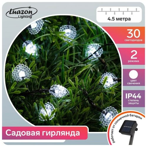   4.5    , IP44,  , 30 LED,  , 2 ,   733