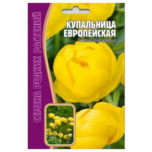 Семена Купальницы европейской (20 семян) 210р
