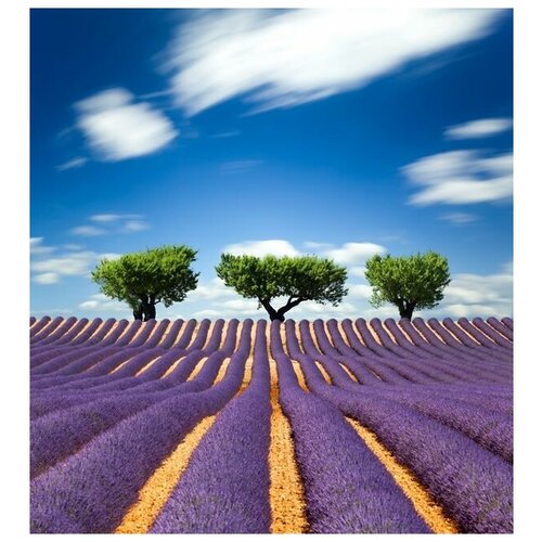       (Lavender field) 2 30. x 33.,  1070   