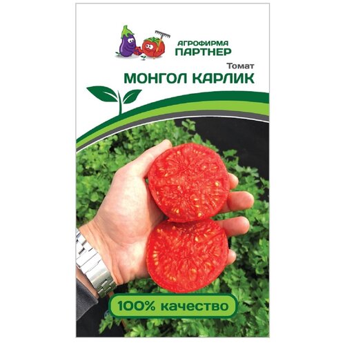 Семена монгол карлик 1 упаковка (10 семян) 285р