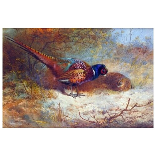      (Pheasant) 1 45. x 30.,  1340   