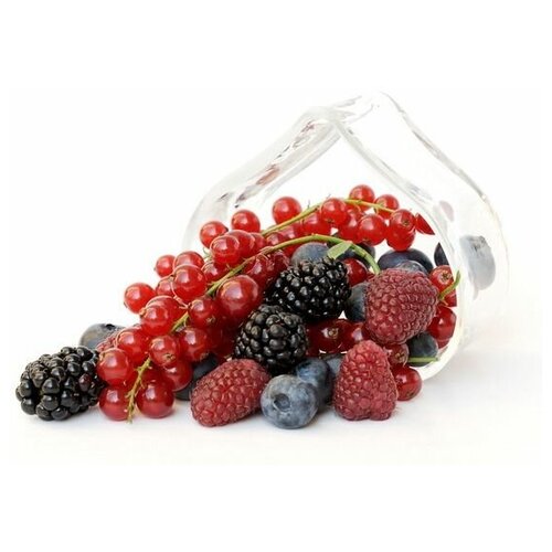     (Berries) 8 45. x 30. 1340