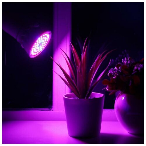 Luazon Lighting ������������ ����� ��� �������� Luazon Lighting, 4,5 ��, E27, 220� 414�