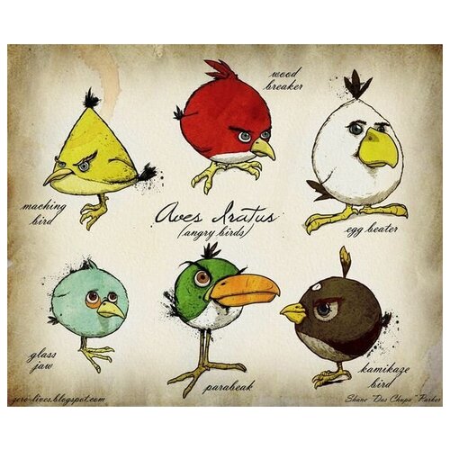      (Angry Birds) 7 36. x 30. 1130