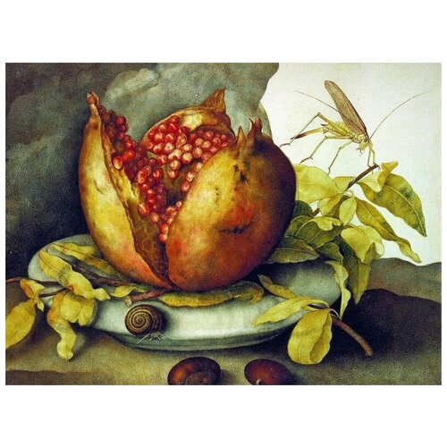     (Pomegranate)   54. x 40. 1810