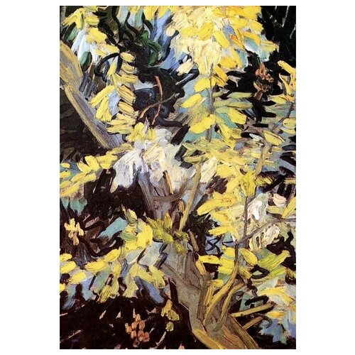      (Blossoming Acacia Branches)    30. x 44. 1330