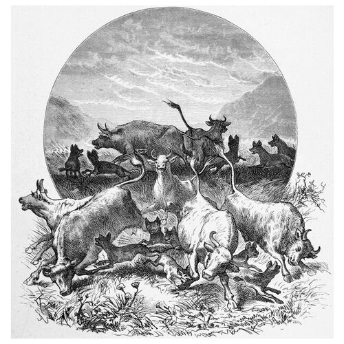     (Bulls) 40. x 41. 1500