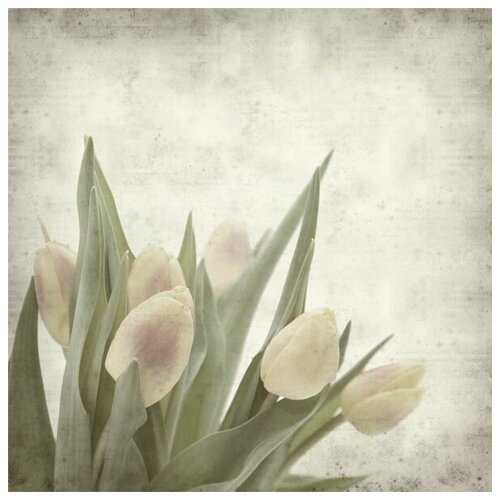     (Tulips) 21 60. x 60. 2570