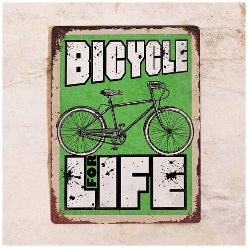    Bicycle for Life, , 3040  1275