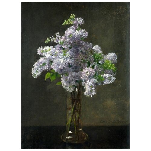     (Lilac) 1   30. x 41. 1260