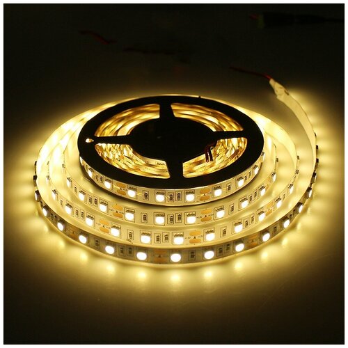   SMD5050-60LED-12V Double line standart 5. -  :  3000-3500K 2200