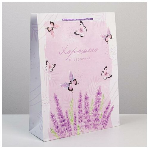 ����� �������������� Special for you, L 31 � 40 � 11,5 �� 146�