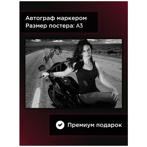 ������ � ���������� ����� ���� � ������� ���� �������, �3, ��� ���� 849�