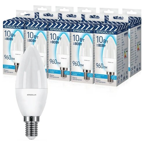    10    E14, ERGOLUX LED 10-C35-845-E14 - 10 ! 890