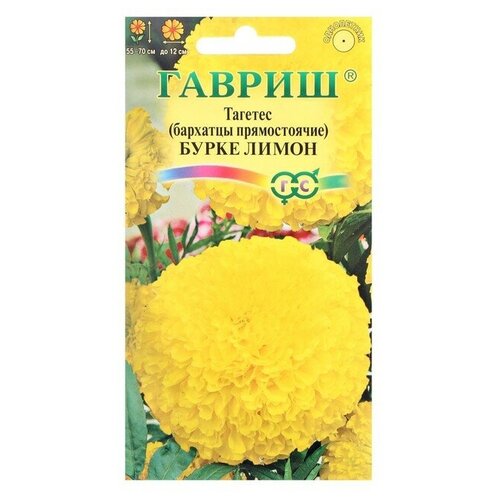 Тагетес/ Бархатцы прямостоячие/ Бурке лимон 170р