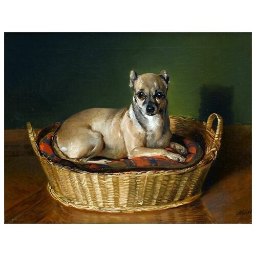       (Dog in basket) 39. x 30. 1210
