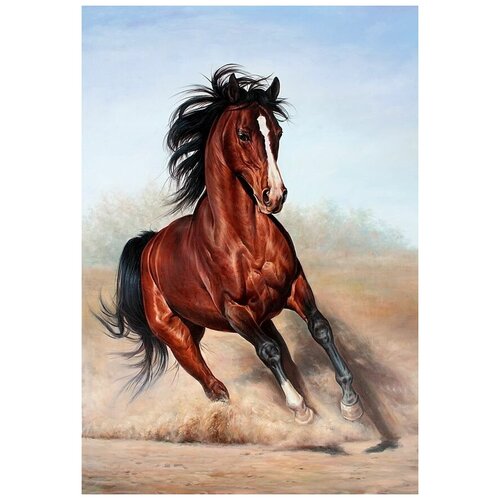     (Horse) 10 50. x 73. 2640