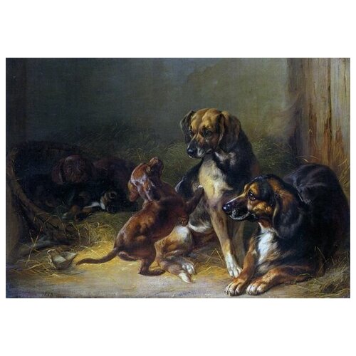     (Dogs and Whelps)   72. x 50. 2590