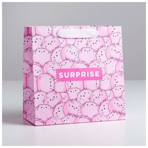 ����� �������������� ���������� �������� 5226244 Surprise, 22 ? 22 ? 11 �� 186�