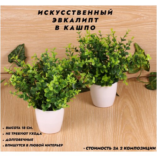 ������������� ����� �������� �������� � ����� ��� ������ ������ 18 ��. � ������ 2 ��. 599�