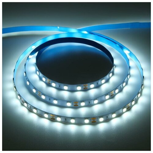   TruEnergy, 12, Smd5050, 5 , Ip20, 14.4 /, 60 LED/, 6000K 9610282 915