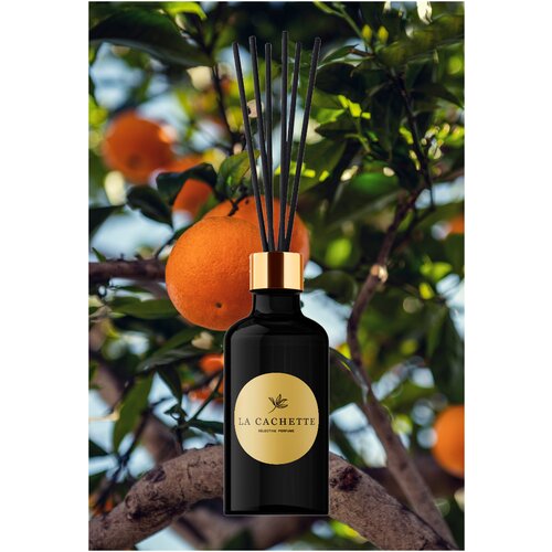   / La Cachette Melange  U023 Basil & Neroli, 30  499