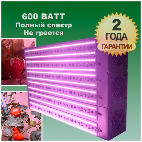 ����-������(50x30��/600��), Quantum Board ��� ����������� �������� � �������� ���������� 16800�