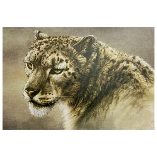     (Leopard) 6 45. x 30. 1340