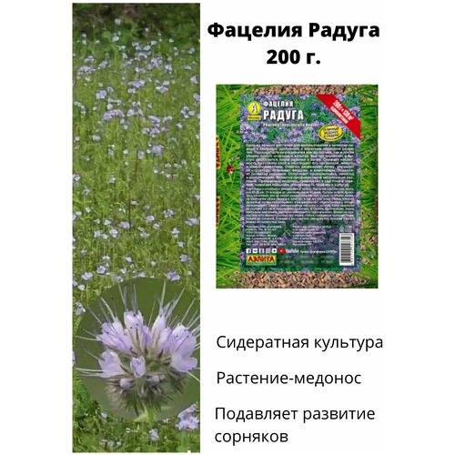 Фацелия Радуга 200 г (сидерат, зеленое удобрение) 500р