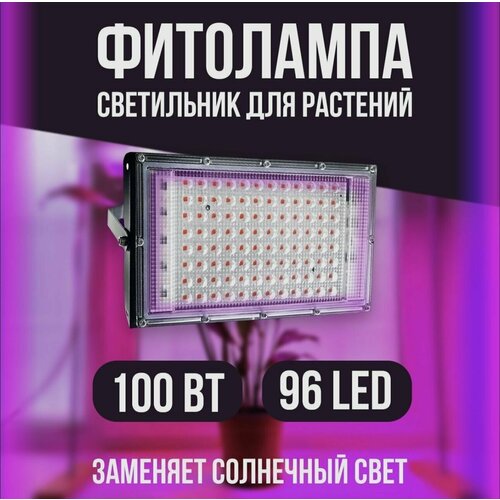  100 .         ,  ,   LED    1550
