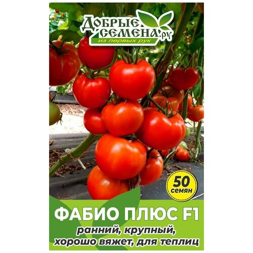 Семена томата Фабио Плюс F1 - 50 шт - Добрые Семена.ру 510р