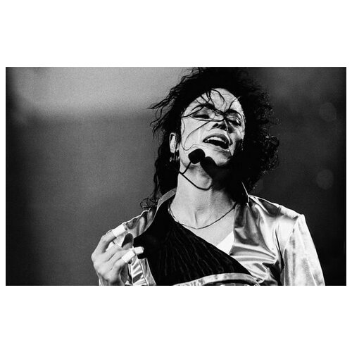      (Michael Jackson) 3 78. x 50. 2760