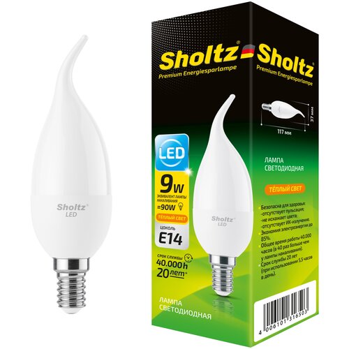    Sholtz 9 220    CA E14 2700 () LEC3165 360