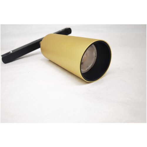 �������� ���������� Maytoni Technical TR032-2-12W3K-S-MG 4090�