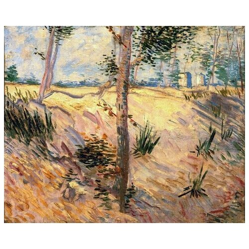          (Trees in a Field on a Sunny Day)    49. x 40. 1700