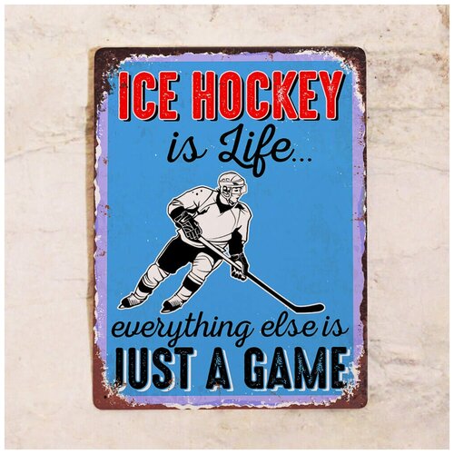   Ice hockey, , 3040  1275