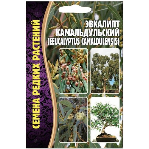 Семена Эвкалипта Камальдульского (eucalyptus camaldulensis) (0,05 гр) 199р
