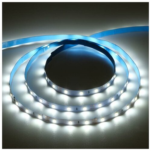   Ecola PRO 5 , IP20, SMD3528, 60 LED/, 4.8 /, 12 , 6000 366