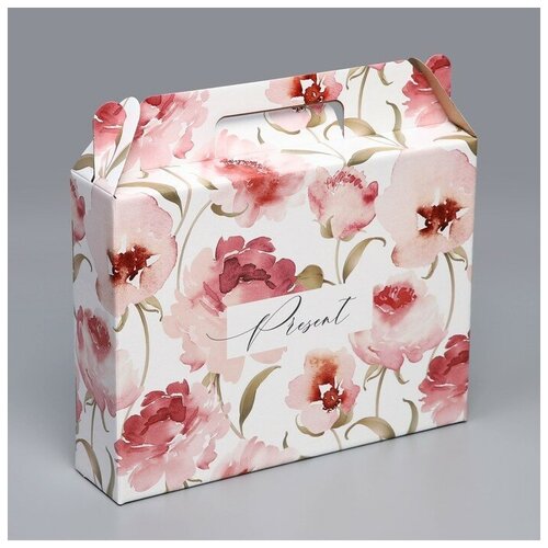 ������� �������� �Present�, 33,7 � 25,7 � 7,9 �� 178�