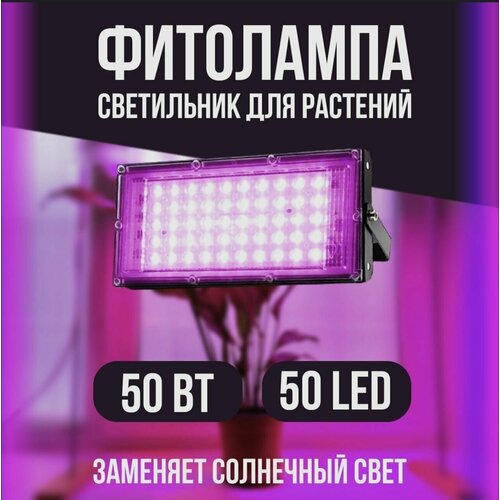  50 .         ,  ,   LED    1190