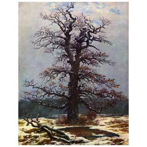       2 (Oak tree in the snow)    30. x 39. 1210