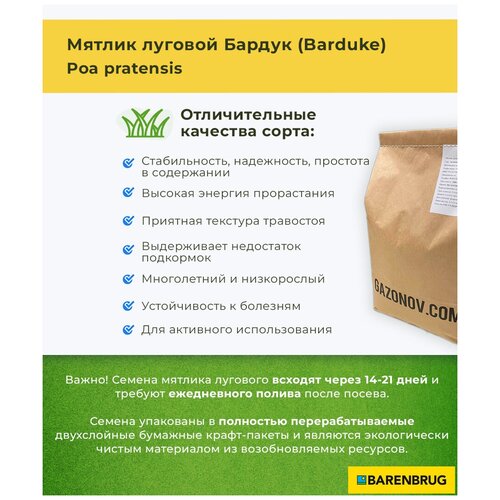 Семена газона Мятлик луговой сорт Бардук Barenbrug (1 кг) 1710р