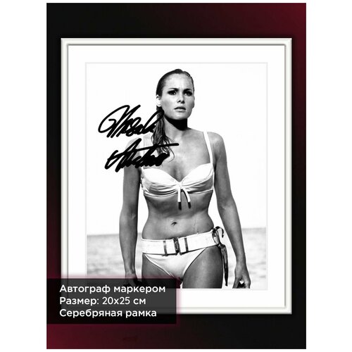 ������ � ���� � ���������� ������ �������, 20*25 ��, ���������� ���� 1614�