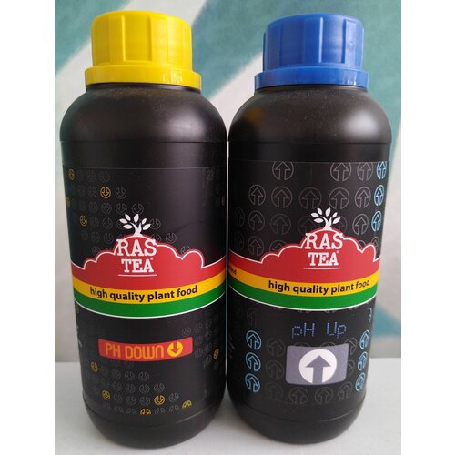 RasTea. �������� Ph ����������� (up&down) 0.5 �. 1700�