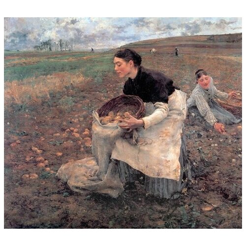 ����������� �� ������ ����� ������ ��������� (Harvest season Doctobre in Potatoes) �������-����� ���� 68��. x 60��. 2830�